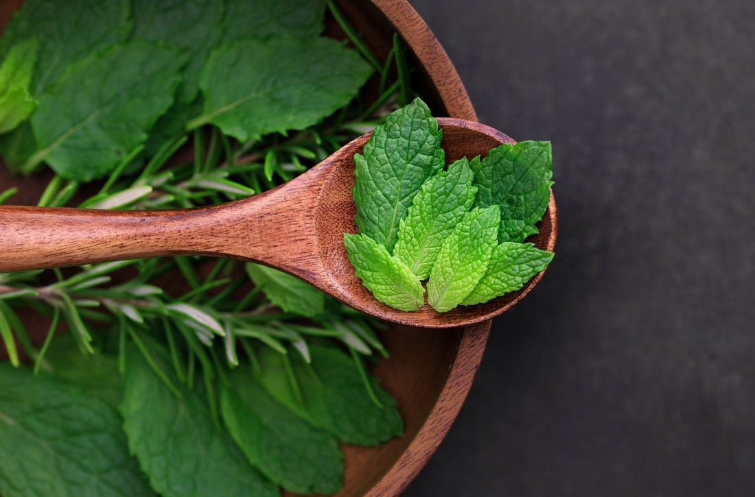 Nature Knows Best — The Most Powerful Herbs Your Skin Has Been Craving