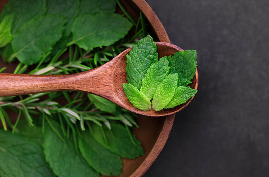 Nature Knows Best — The Most Powerful Herbs Your Skin Has Been Craving